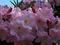 22-05-05kodak_041