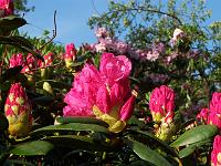 22-05-05kodak_049