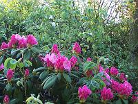 24-05-05kodak_054