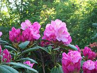 24-05-05kodak_063