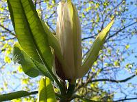 24-05-05kodak_075