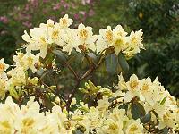 24-05-05kodak_311