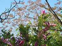 27-05-05kodak_043