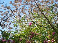 27-05-05kodak_045