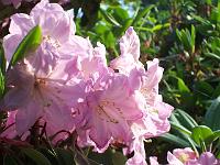 27-05-05kodak_118
