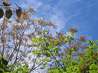 27-05-05kodak_137