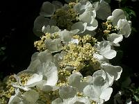 29-05-05kodak_032