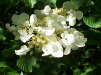 29-05-05kodak_033