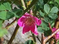 30-05-05kodak_154