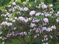 30-05-05kodak_180