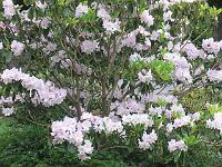 31-05-05canon_010