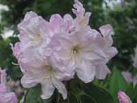 31-05-05canon_021