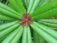 31-05-05canon_032