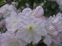 31-05-05canon_040