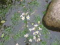 31-05-05canon_082