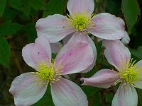31-05-05kodak_111