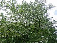 img_0841