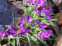 19-03-05kodak_005