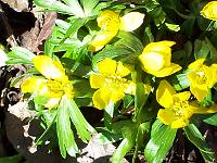 19-03-05kodak_014
