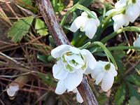 19-03-05kodak_027