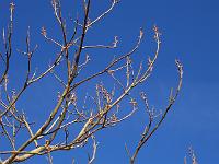 19-03-05kodak_029