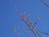 19-03-05kodak_030