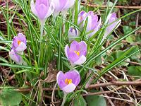 23-03-05kodak_030