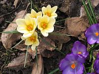 25-03-05canon_018