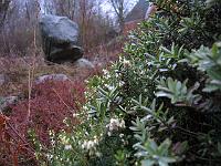 28-03-05canon_001