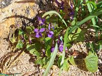 28-03-05kodak_017