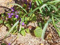 28-03-05kodak_018