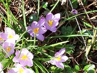 28-03-05kodak_023