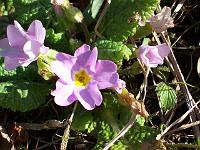 28-03-05kodak_031