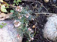 28-03-05kodak_036