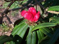 30-03-05kodak_009