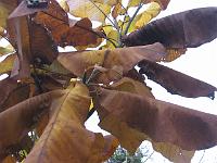 04-11-05canon_009