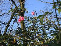 05-11-05canon_007
