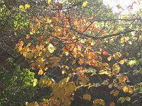 05-11-05canon_009