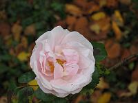 05-11-05canon_148