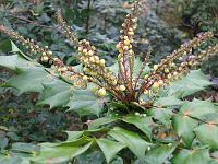 06-11-05canon_008