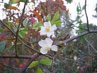09-11-05canon_065