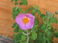 10-11-05canon_002