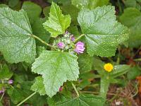 10-11-05canon_005