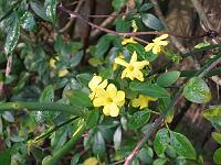 10-11-05canon_050
