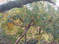 10-11-05canon_057