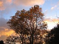 16-11-05canon_041