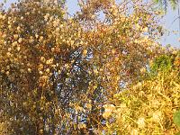 30-11-05canon_025