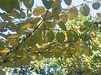 05-10-05canon_014