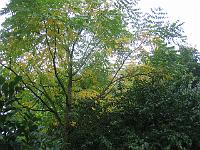 09-10-05canon_001