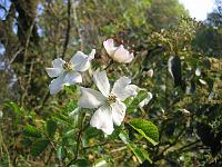 10-10-05canon_002